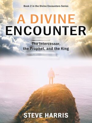 cover image of A Divine Encounter